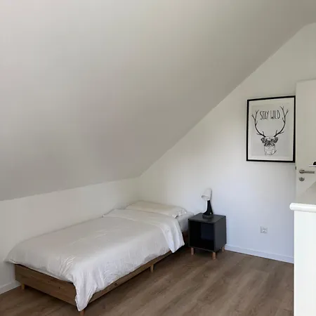 Archie Oder Lilli,naehe Europa Park, Strasbourg, Schwarzwald * Schutterwald